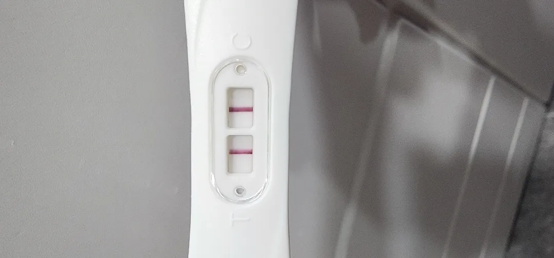 이 정도면  아가집 안보이겠죠??