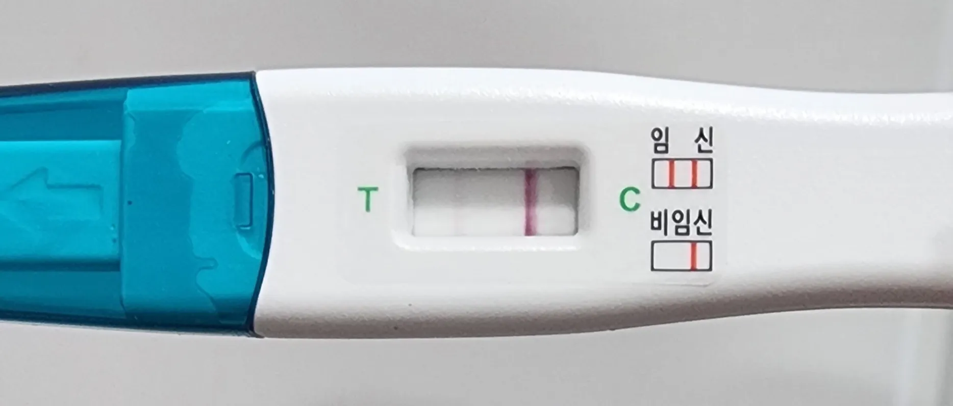 첫생리없이 다시 