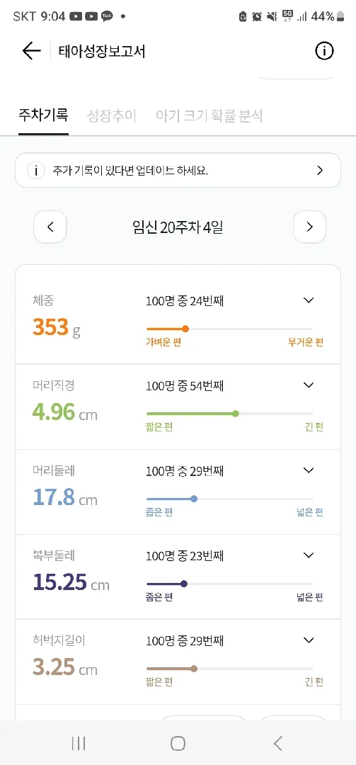 20주차 정밀 초음파 봤어요
