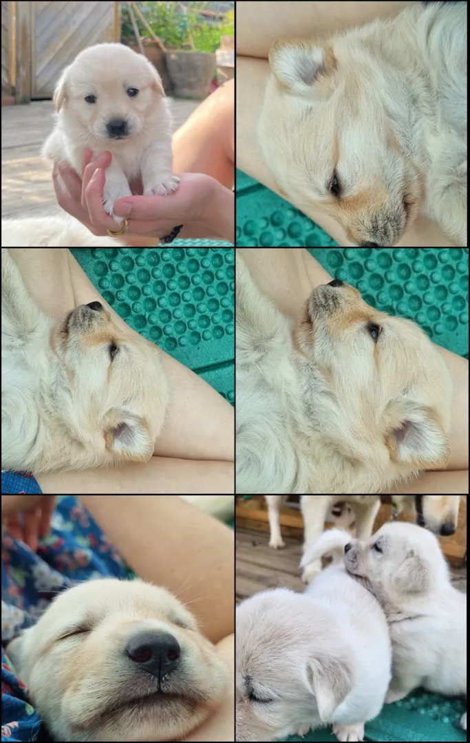 community post image