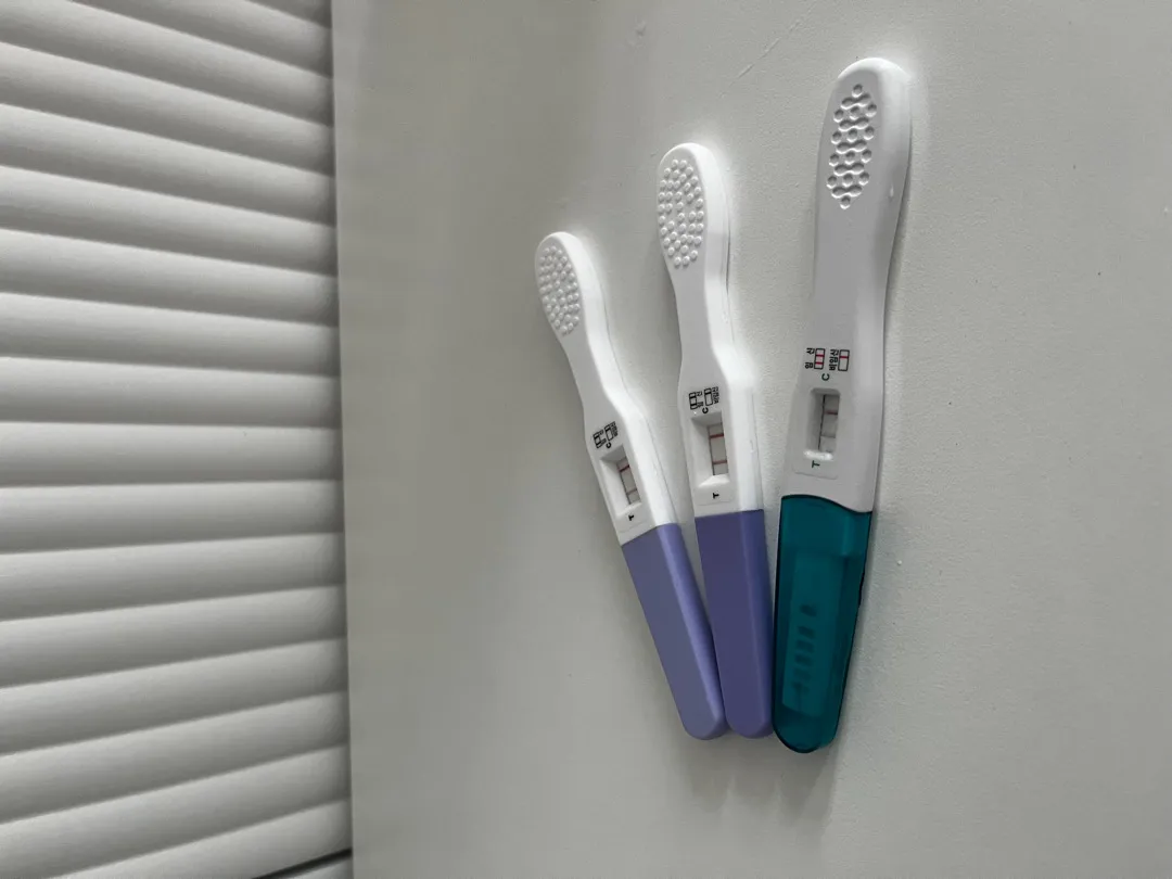 얼리 임테기 두줄 