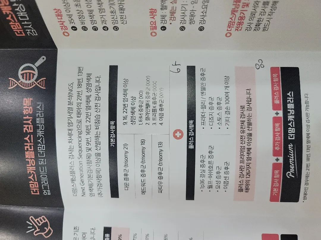니프티검사
