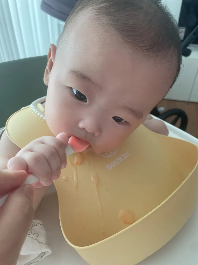 이유식3일차 당근추가 성공 (수제과 시판 사이^^) 