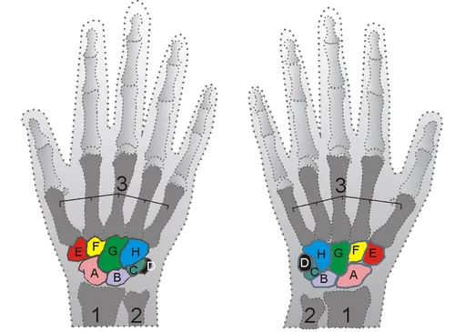 community post image