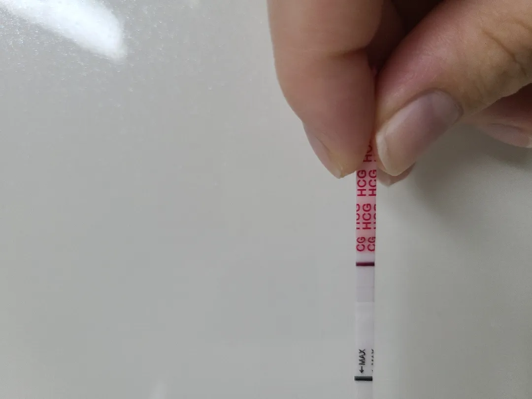 배란11일차입니다