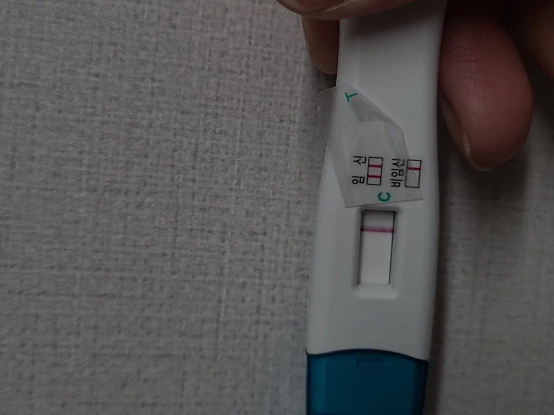 배란9일차인데 보일까요?