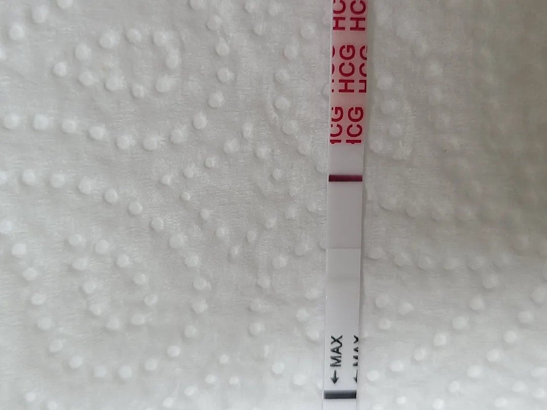 배란11일차단호박이요