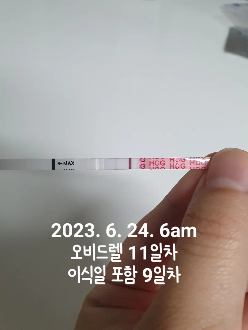 3일배양 신선이식 9일차입니다ㅜ