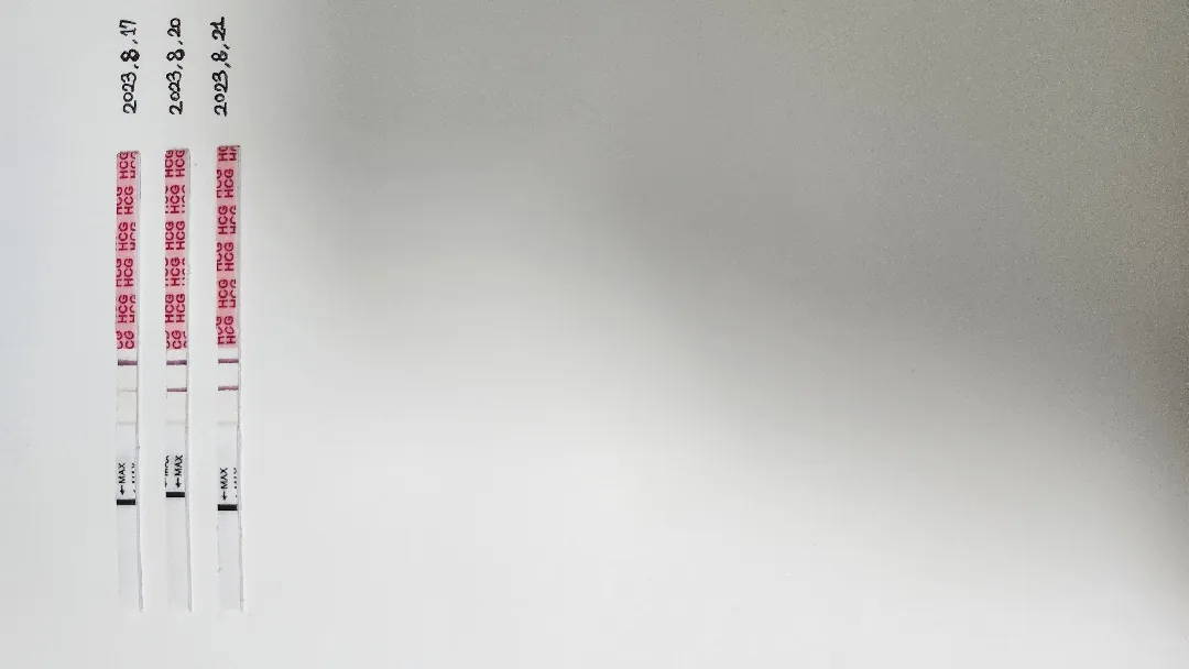 아기집