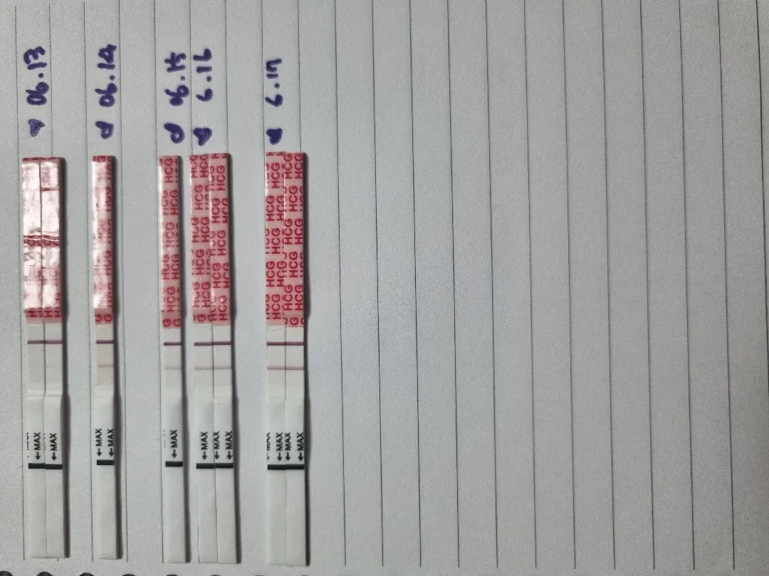 임테기진하기
