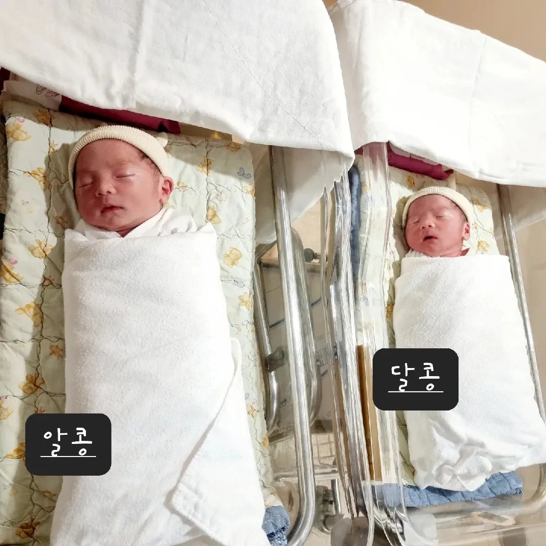 긴급 제왕절개로 쌍둥이 만났어요^^