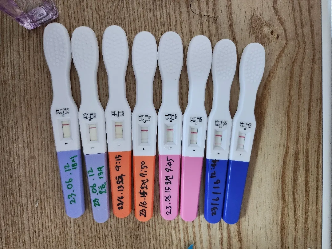 임테기노예