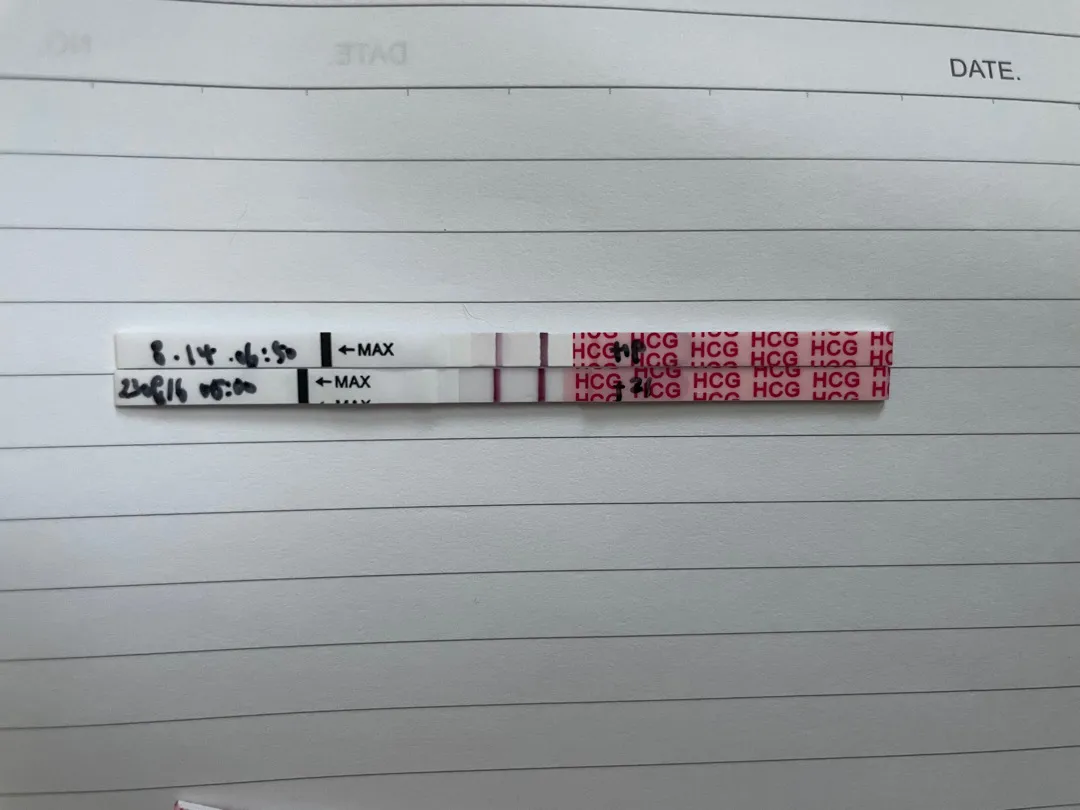 왼쪽이 오늘한거고 오늘쪽이그제한건데요