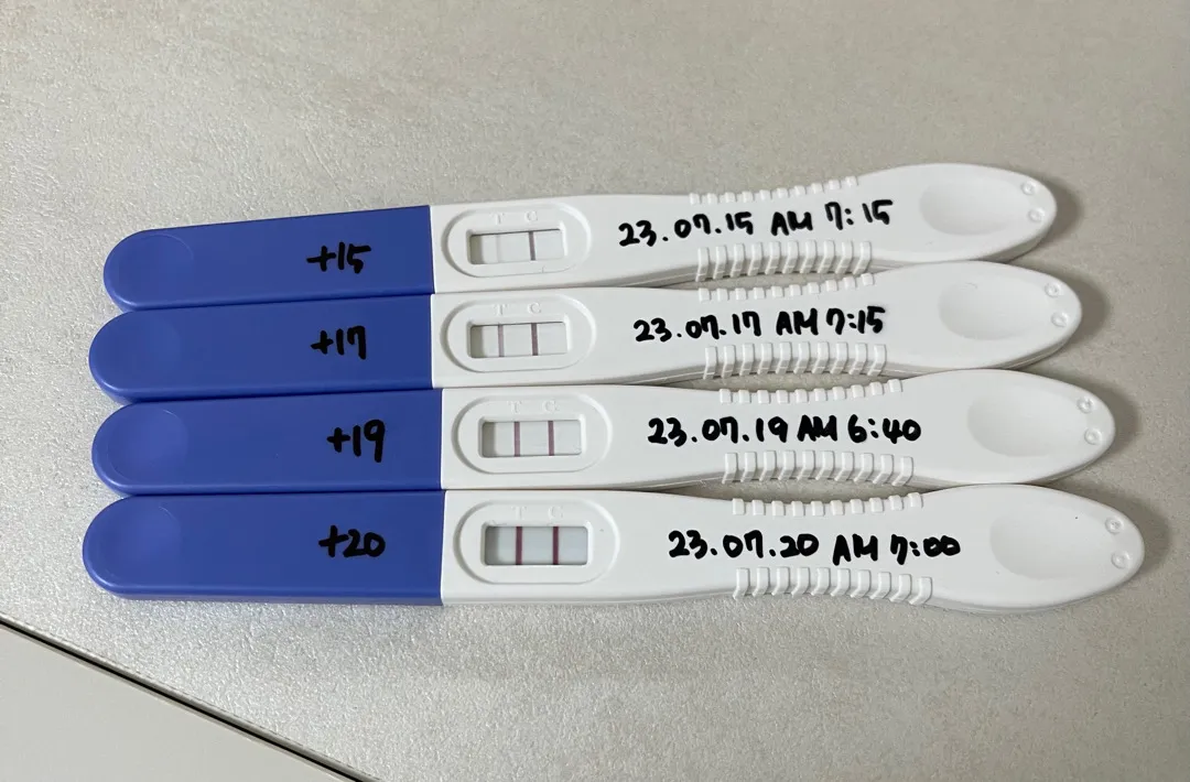 임테기 진하기 역전
