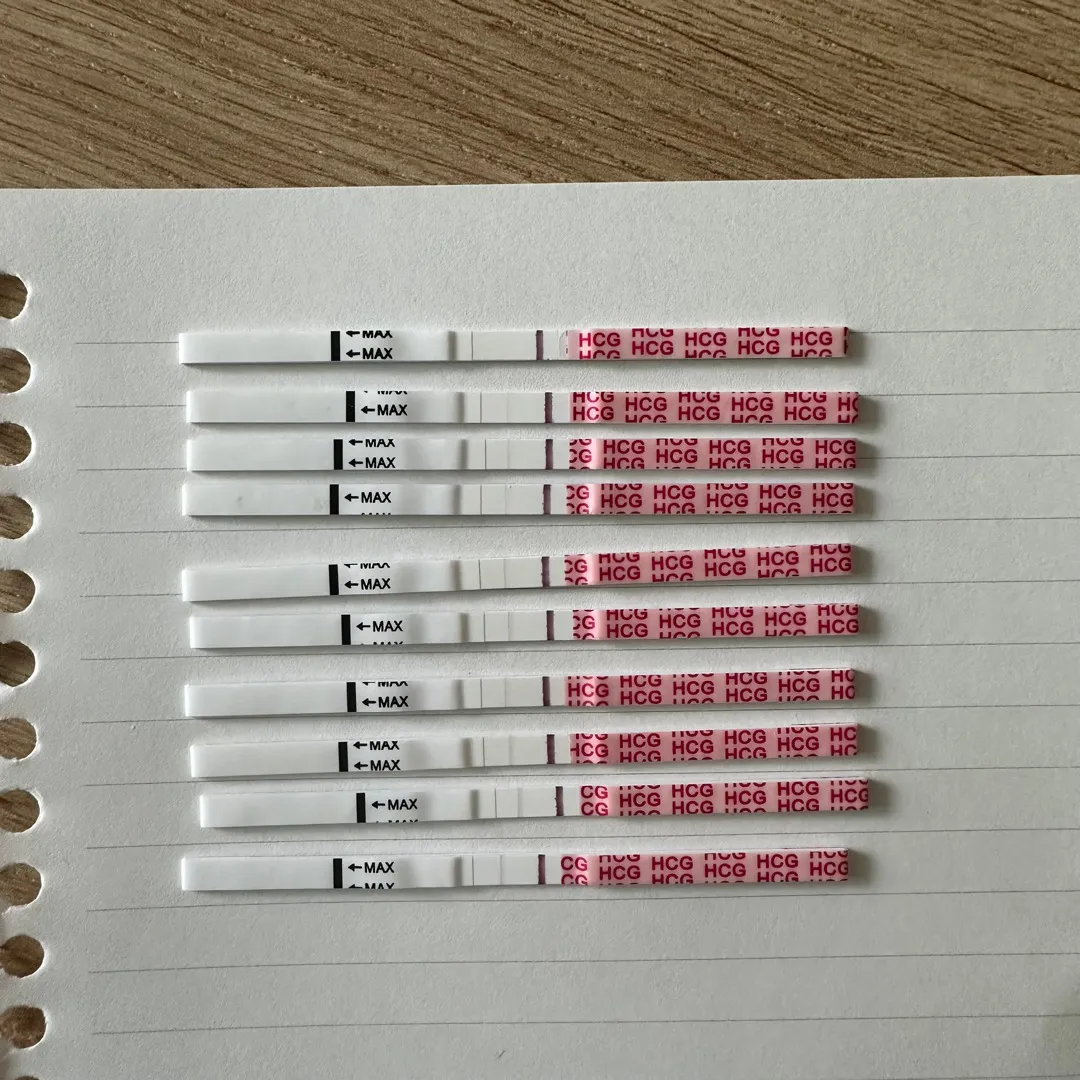 임테기, 피수치