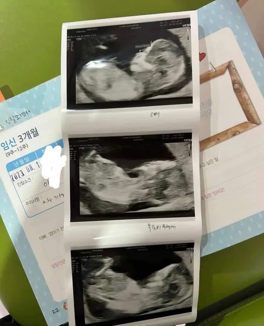 12주6일 각도법 알려주세용~~