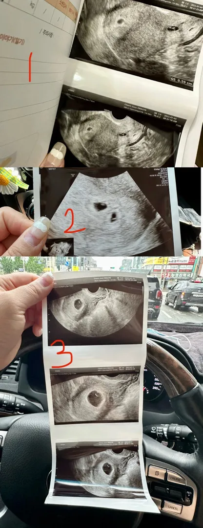 쌍둥이,,일까요??