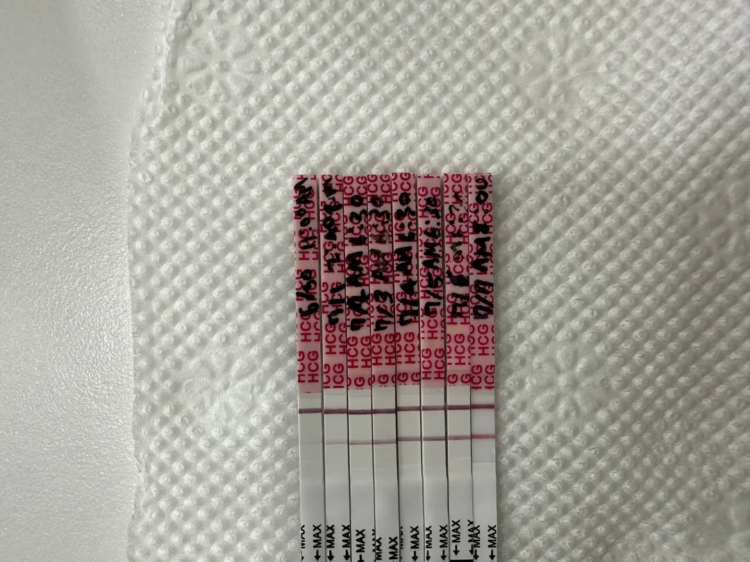 임테기 진하기 똑같은현상..