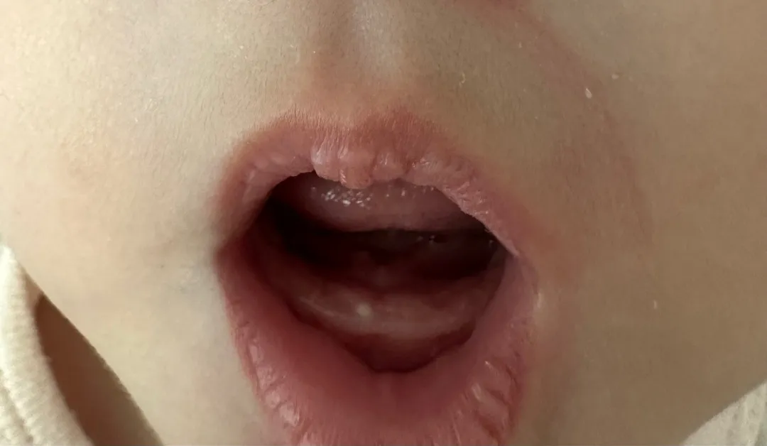 한번 봐주세요ㅠㅠ