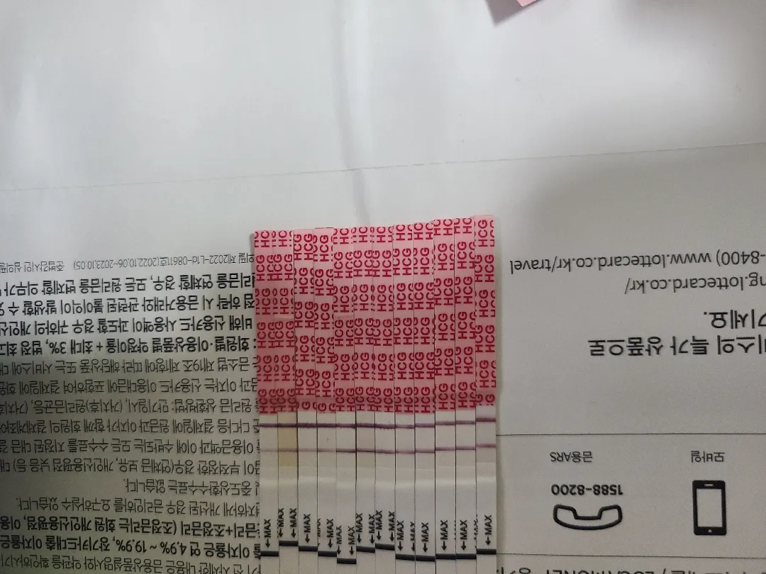 생리 32일차 베테기 역전 없음...
