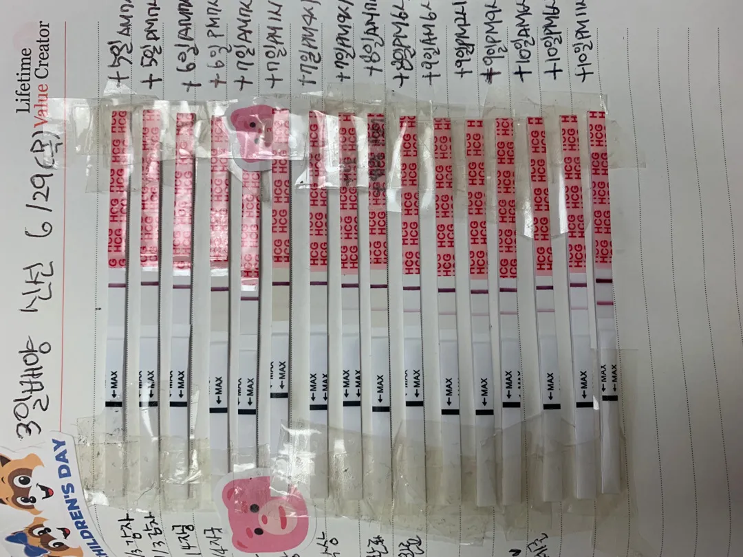 피검전 시험관 3일배양 10일차 임테기 진하기