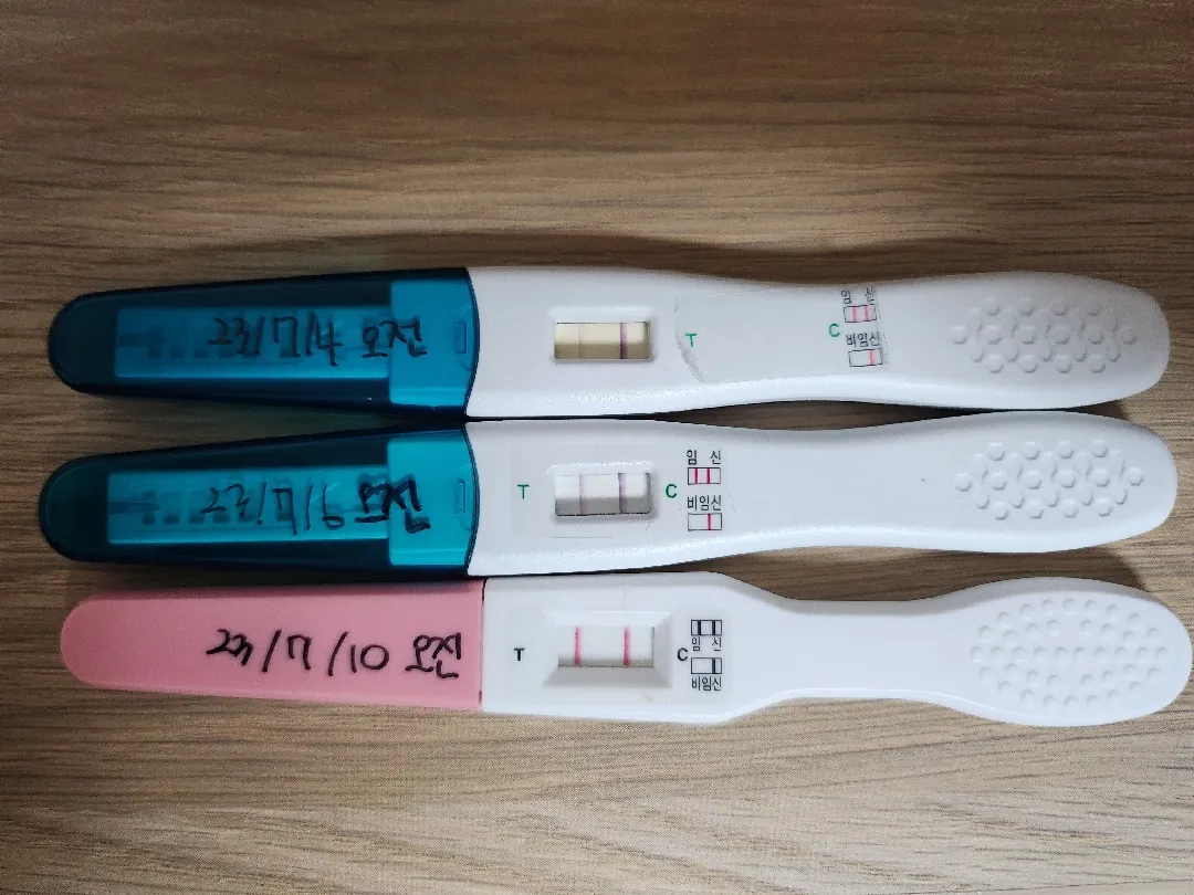 4월 계류유산 후 임테기 두줄!