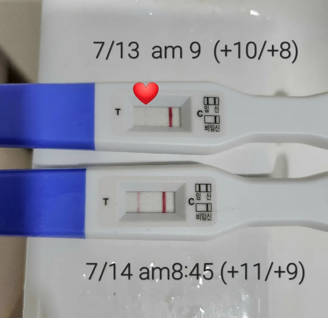 천사가 다시 왔을까요?