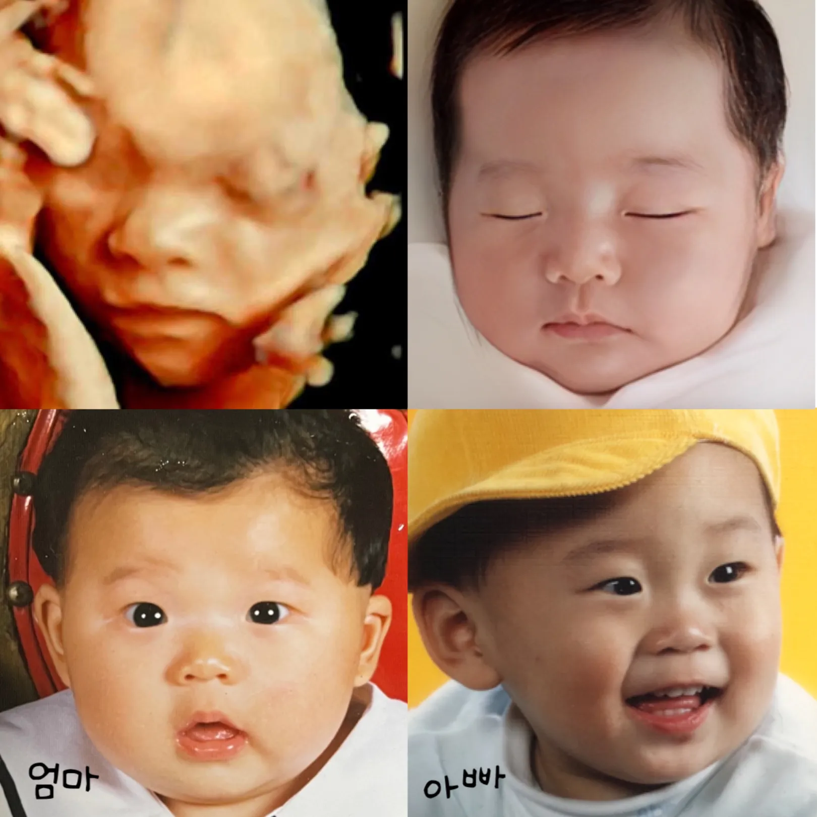 24주사진으로 베이비페이스 했어요 ଘ(੭*ˊᵕˋ)੭*