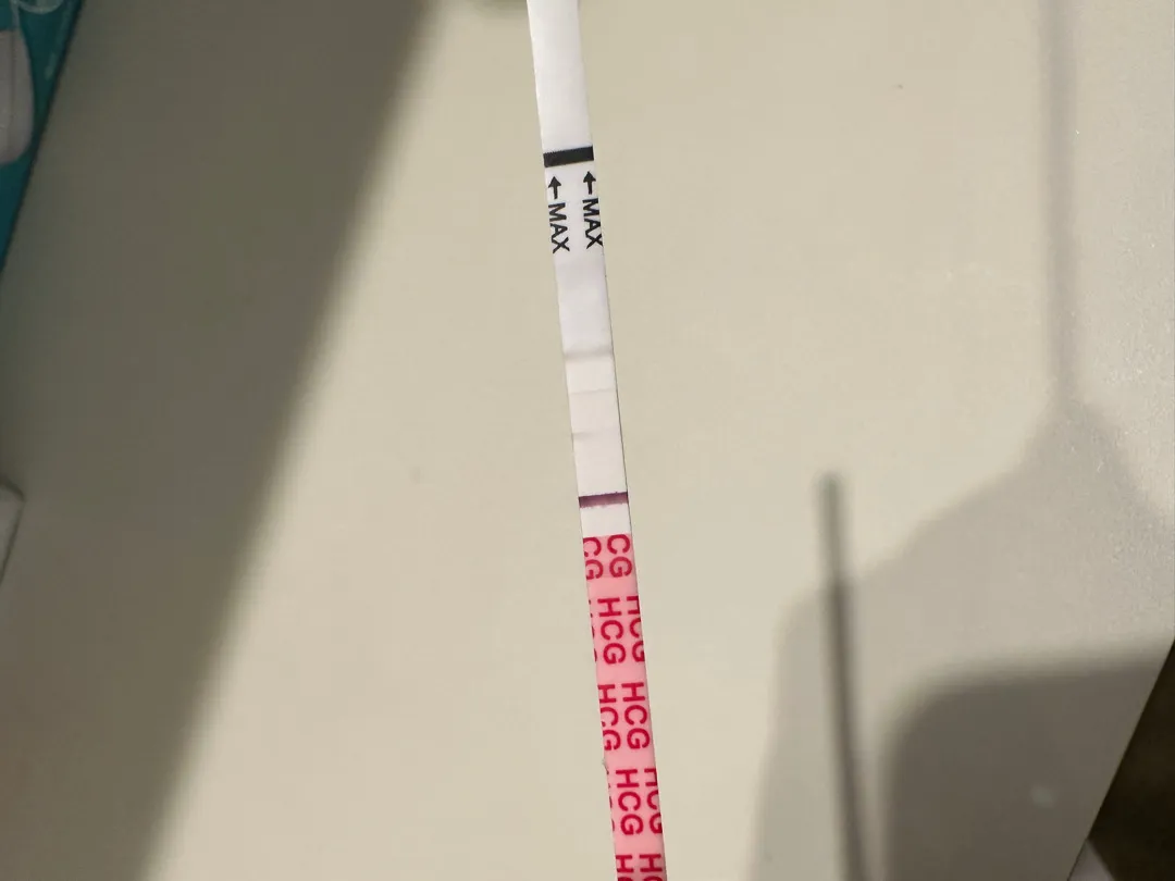 테스트기 한번만 봐주세요