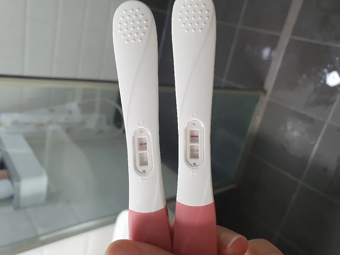 임신인가요?