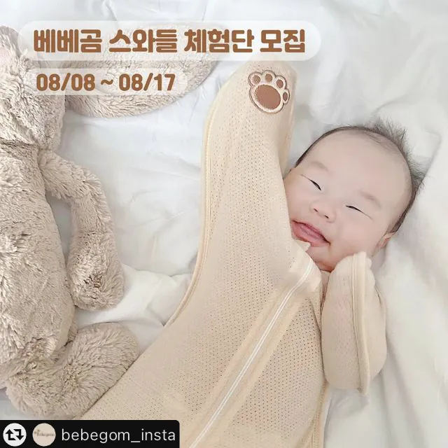 베베곰 스와들 같이 신청해요