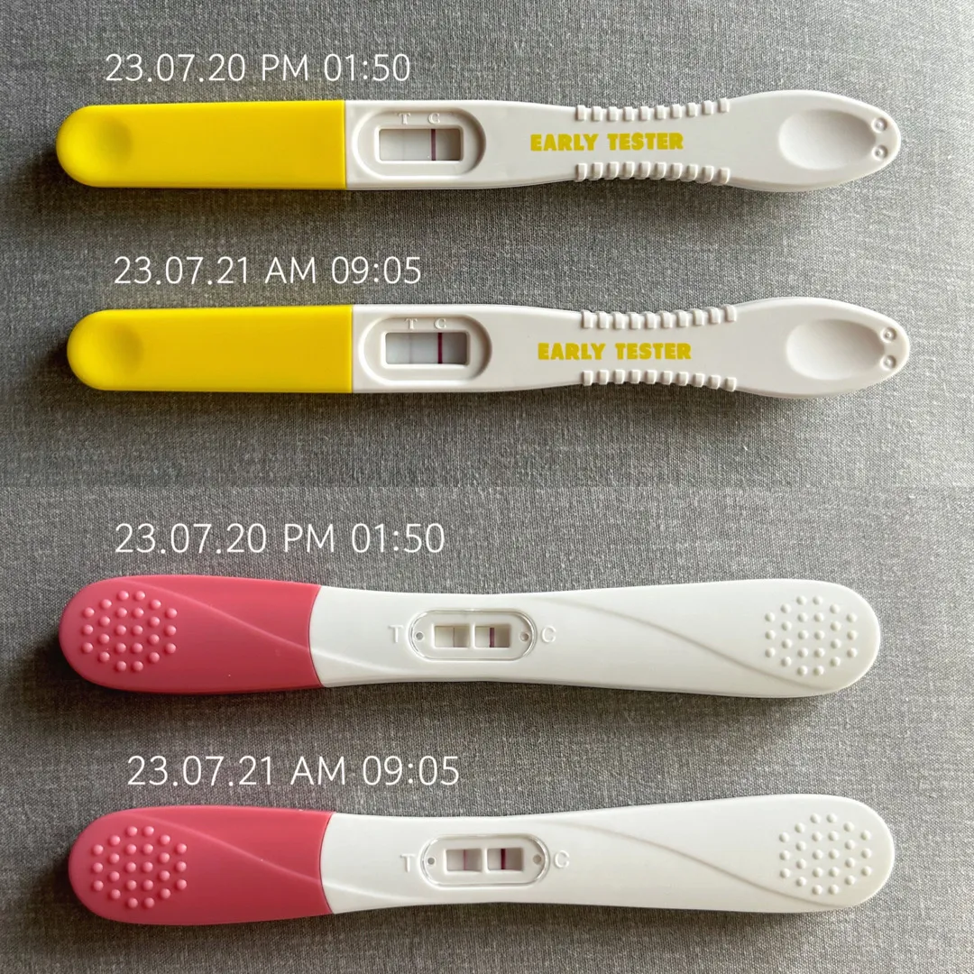 임테기요 !