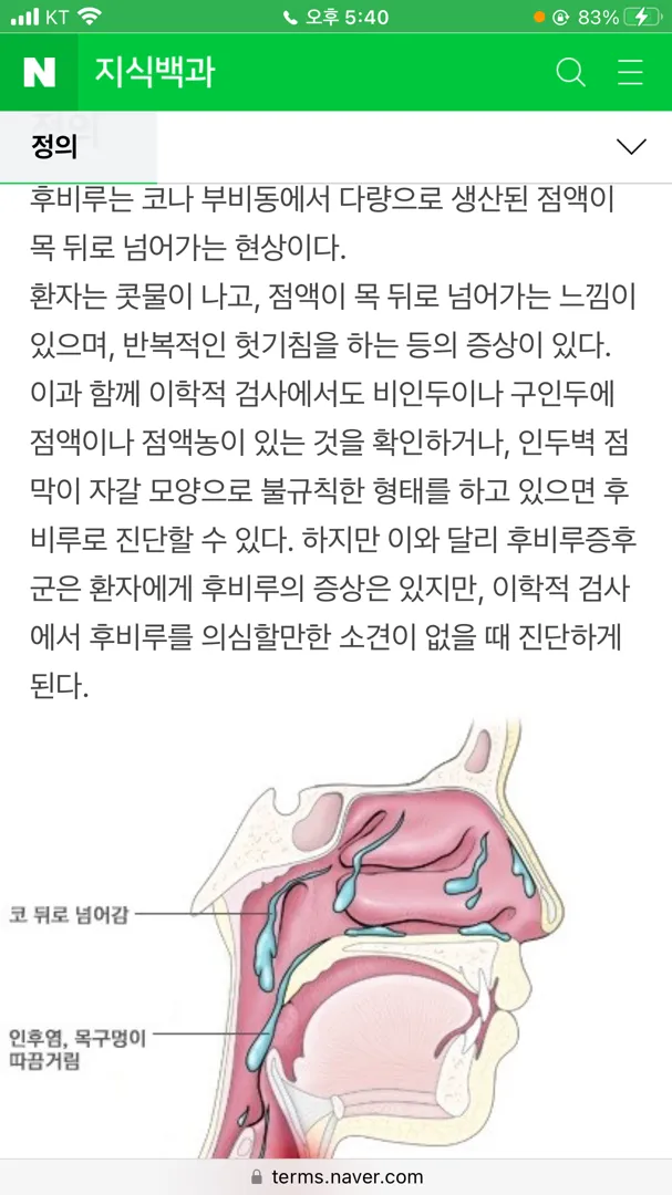 가래덧 (후비루덧)