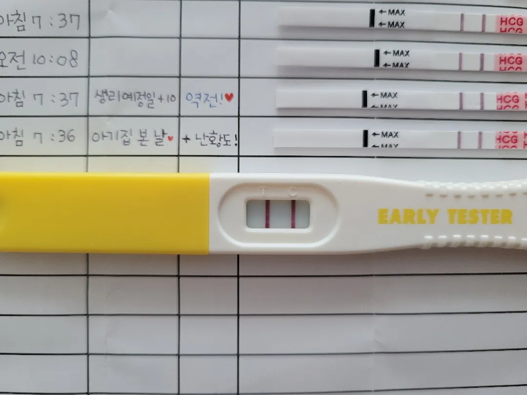 임테기 자체 졸업했어요🫠