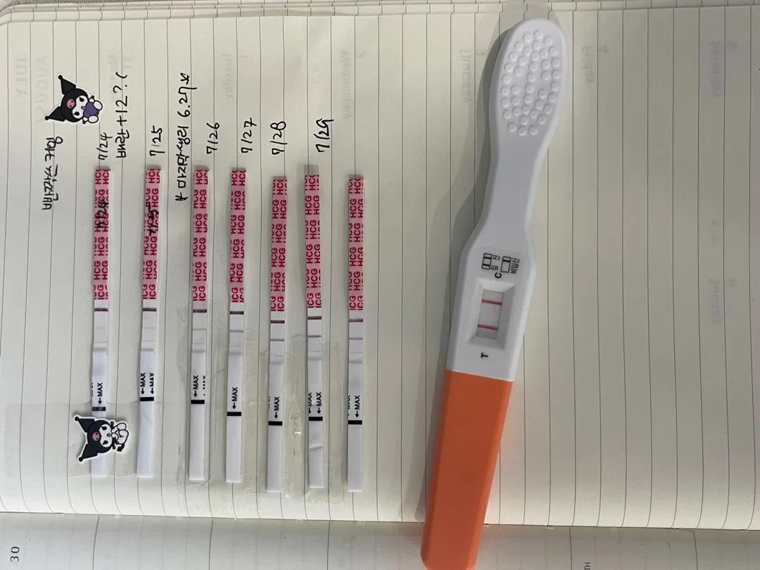 다들 촘파 언제보러가시나요?!?