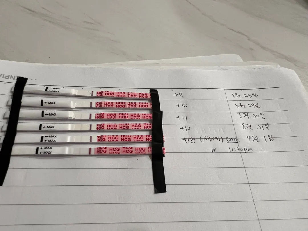 결국 화유네요😢ㅠㅠㅠ
