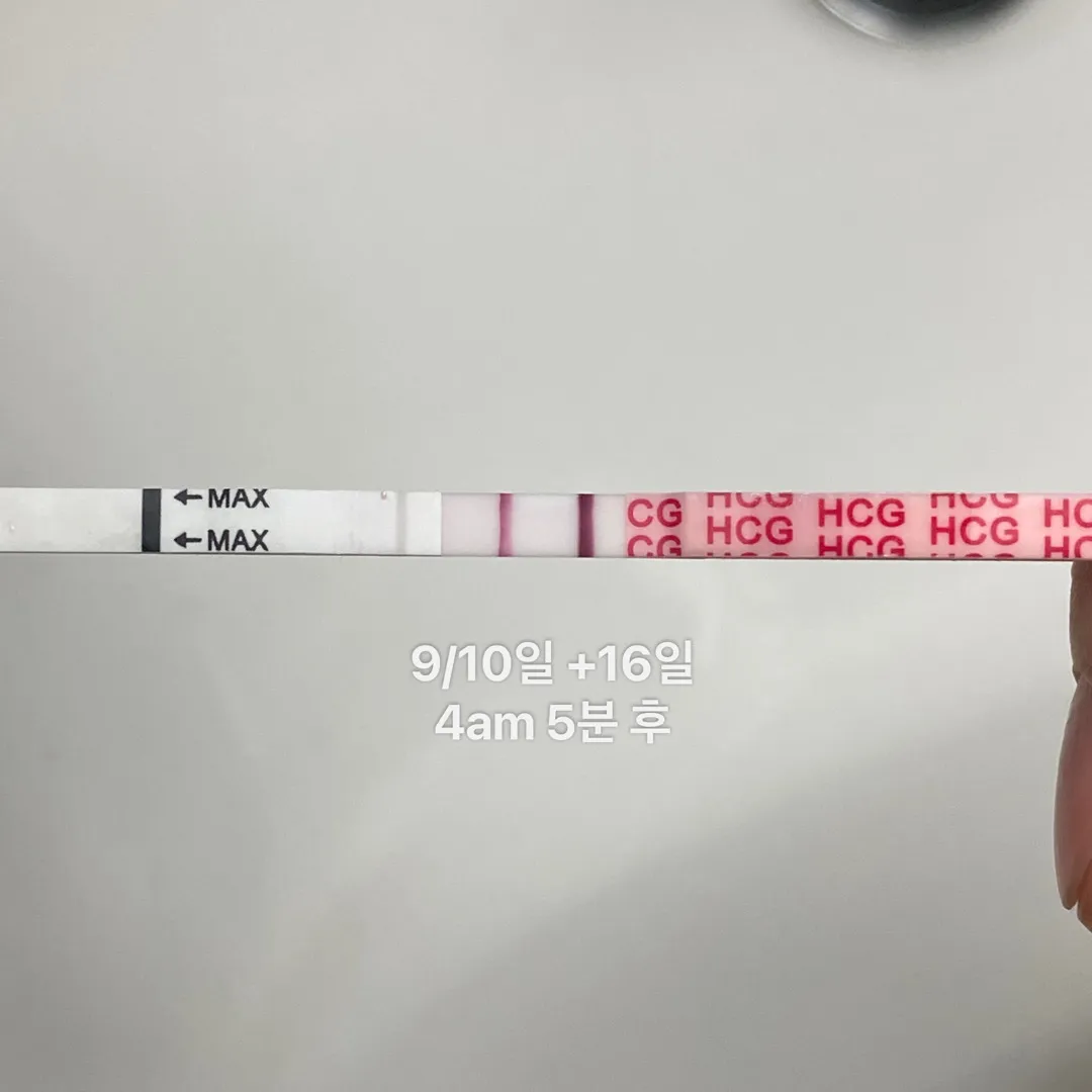 원포 진하기 이 정도면 2일 후에 아기집 볼 수 있을까요? 