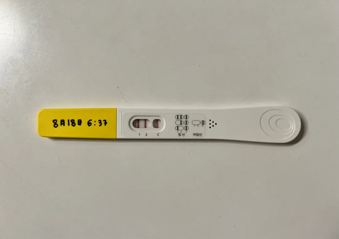 파이널체크 임테기 사용후기
