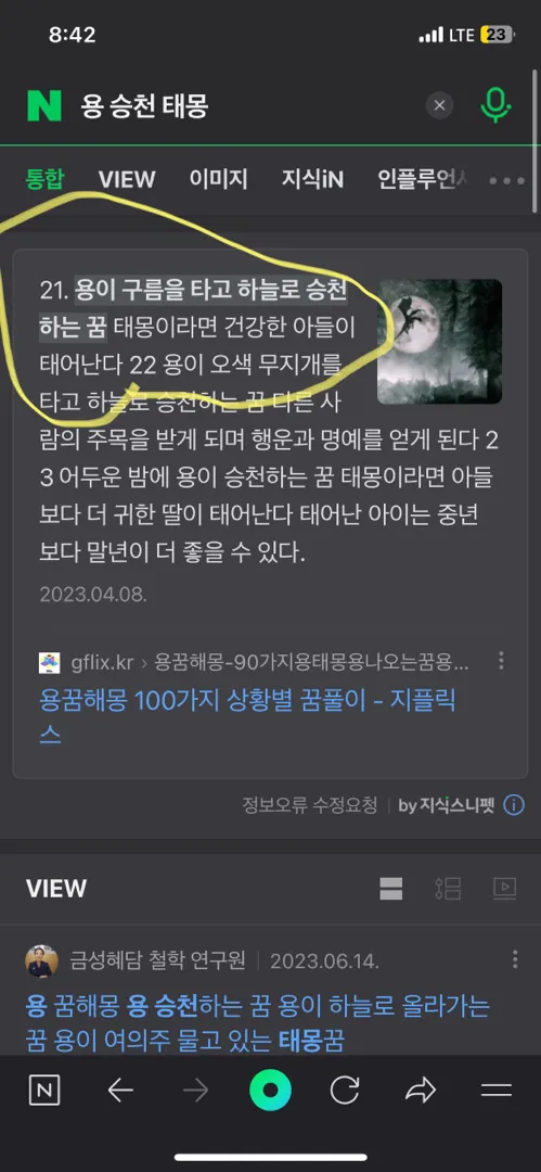 남편이 용이 승천하는 꿈을 꿨대요 !!