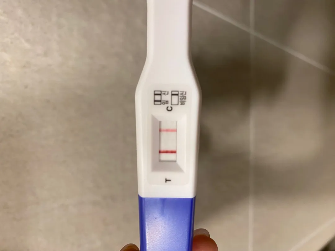 임테기