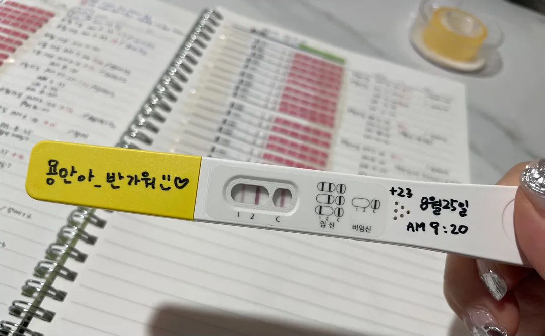 파이널 이정도면 촘파 잘 보일까요???