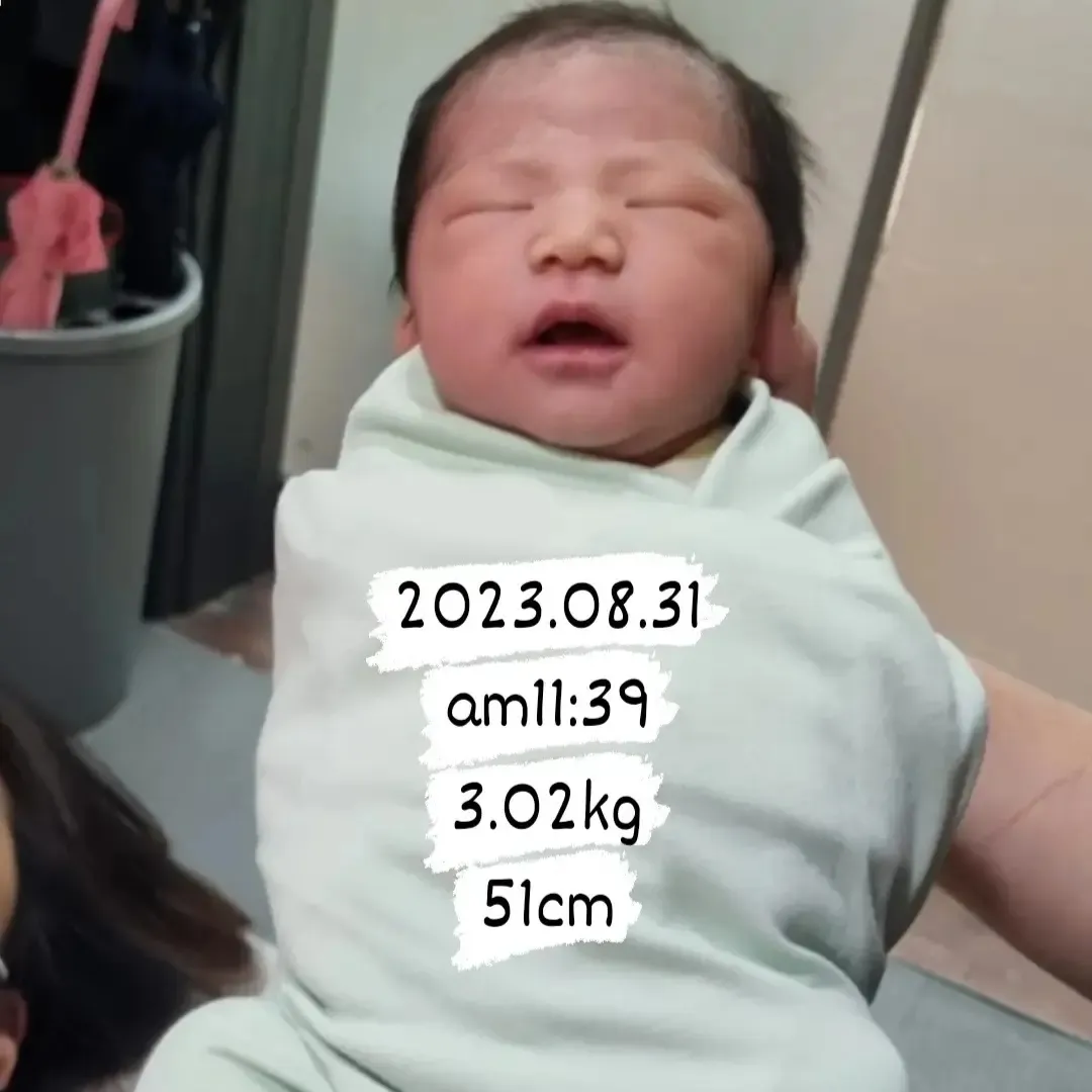 38주6일 제왕절개~