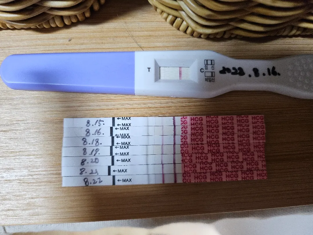 임테기 노예가 되는군요ㅜㅜ