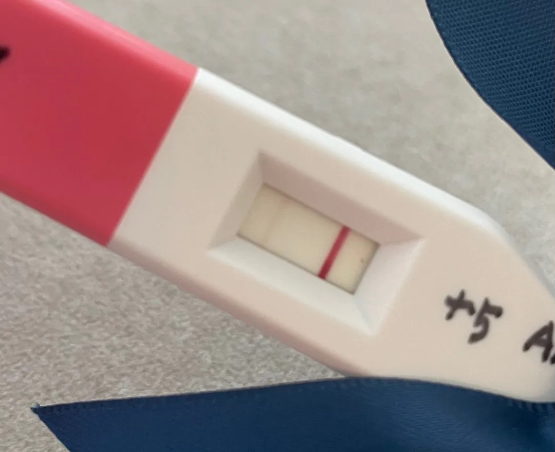 5일차 임테기에…🥹