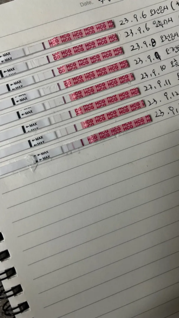 임테기 진하기좀 봐주세요.. 연해지는거같은데