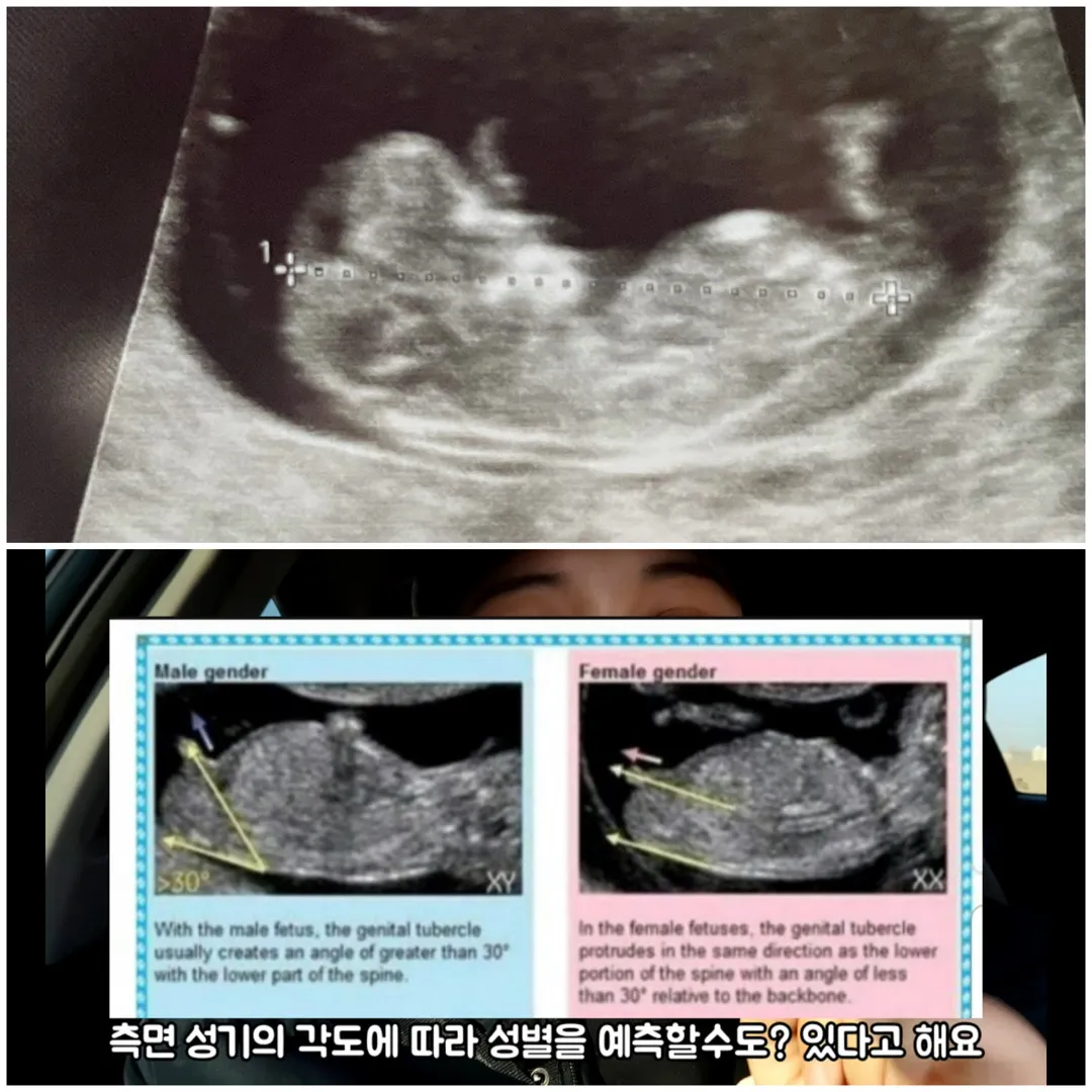 각도법 봐주시와요 !!!