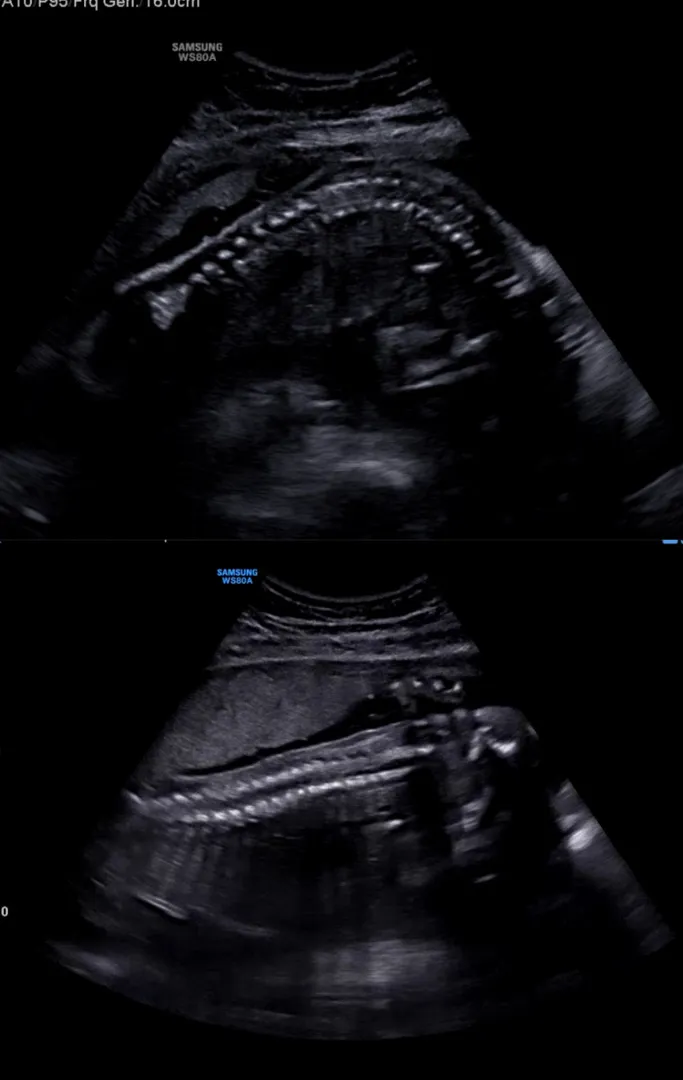 community post image