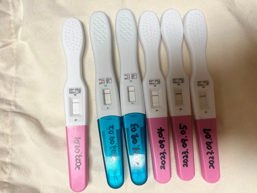 화유 후 생리인거 맞는거겠죠