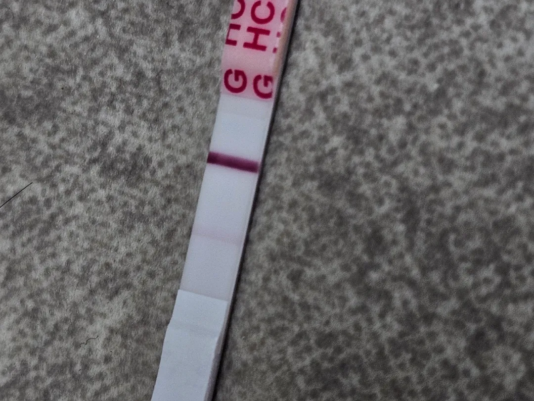 테스트 확인부탁드려여