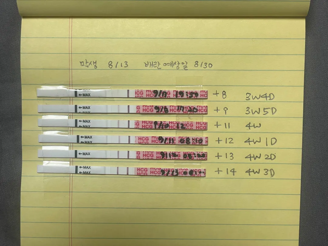 언제쯤 역전이 되려나여